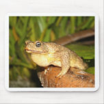 bufo the frog mousepads