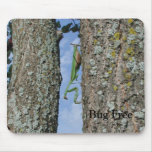 Bug Free mousepads