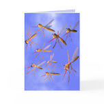 Bug Hunt cards