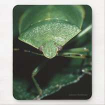 bug mousepads