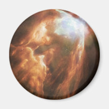 Bug Nebula in space Refrigerator Magnet