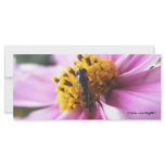 Bug on a Bloom Rack Card Design