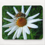 bug on me mousepads