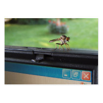 Bug on System ~ ATC