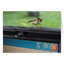 Bug on System ~ card