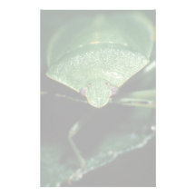 bug personalised stationery