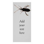 Bug Silhouette ~ rack card rack cards