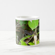 Bug Ugly 3 Coffee Mugs