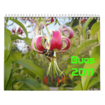 Bugs 2011 calendars