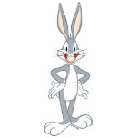 Bugs Bunny Standing T Shirts