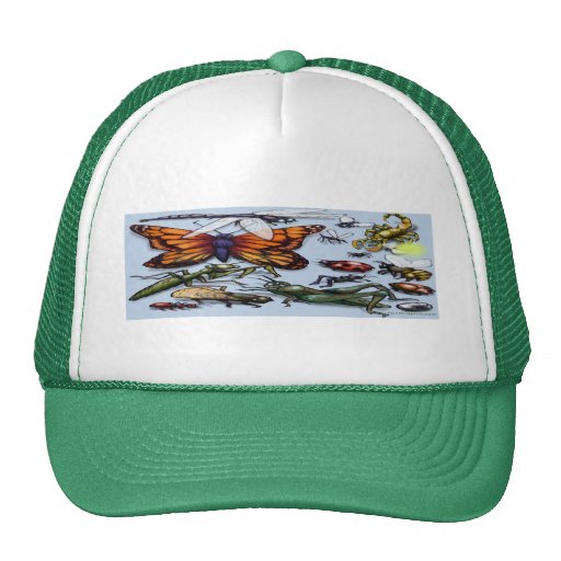 Bugs Hats