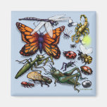 Bugs Magnet