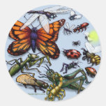 Bugs Sticker