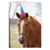 Bugsie Birthday Card