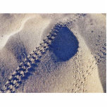 Bugtracks Sand Acrylic Cut Outs