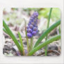 Bulb Garden - Grape Hyacinth Mousepad