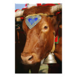 Bull and bell photographic print