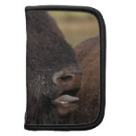 bull bison grunting organizer