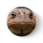 Bull! buttons