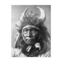 Bull Chief -- Apsaroke: 1908 Post Card
