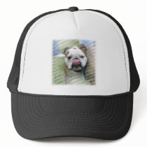 Bull Dog Designs Baseball Hat