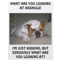 bull dog