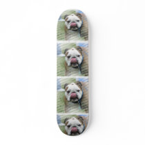 Bull Dog Skateboard
