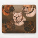 bull dogs mousepads