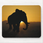 Bull elephant mousepads