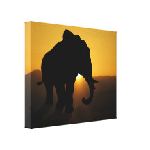 Bull Elephant Stretched Canvas Print