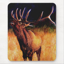 Bull Elk Call Of The Wild