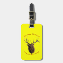 bull elk charging