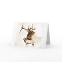 Bull Elk greeting card