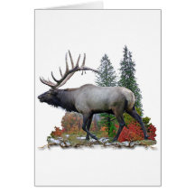 Bull Elk Greeting Card