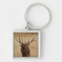 bull elk key chains