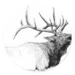 Bull Elk Sticker
