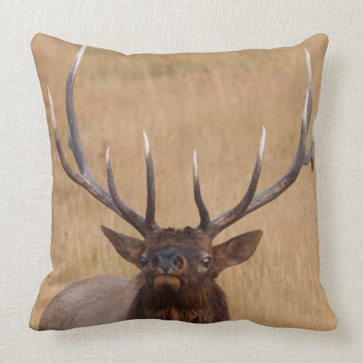 bull elk throw pillows