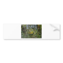 Bull Frog Bumper Stickers