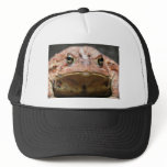 Bull! hats