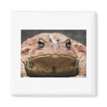 Bull! Fridge Magnet