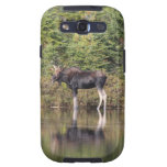 Bull Moose Galaxy SIII Cover