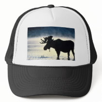 Bull moose trucker hat