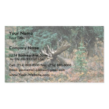 Bull moose rests in vegetation business card
