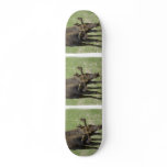 Bull Moose Skateboard