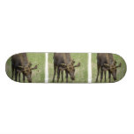 Bull Moose Skateboard