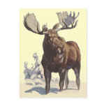 Bull Moose ~ Sunny Winter Day TRAVEL POSTCARD