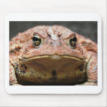 Bull! mousepads