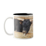 Bull mugs
