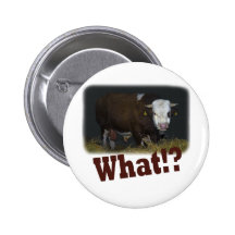 bull pins