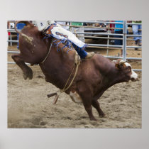 Bull rider at rodeo posters